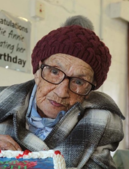 Johanna Adonis (1907-2019): The First Validated Supercentenarian who Died on the African Continent